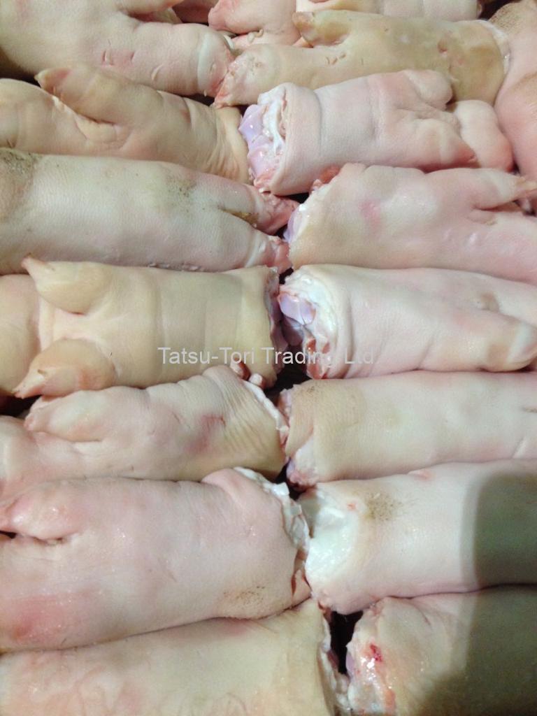Pork Feet